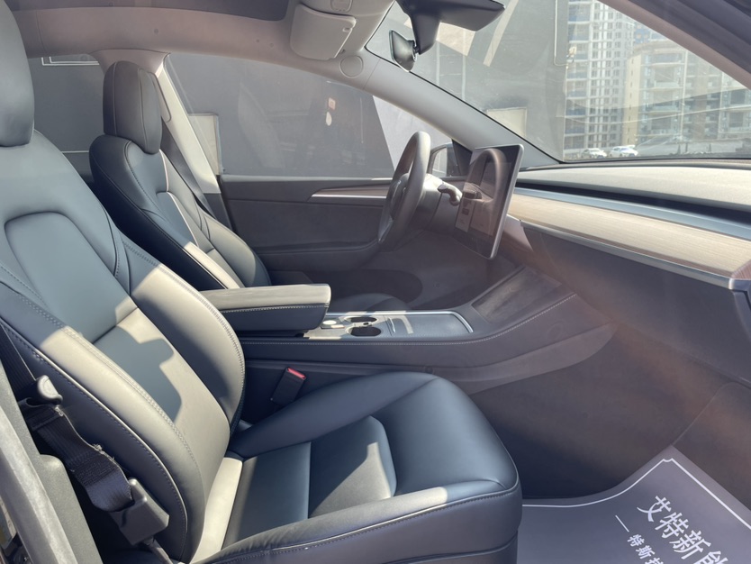 Tesla Model Y 2021 car image #9