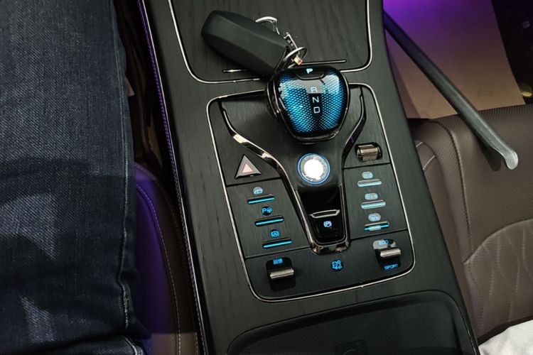 BYD Han 2021 #14 BYD Han 2021 imagen de coche #14