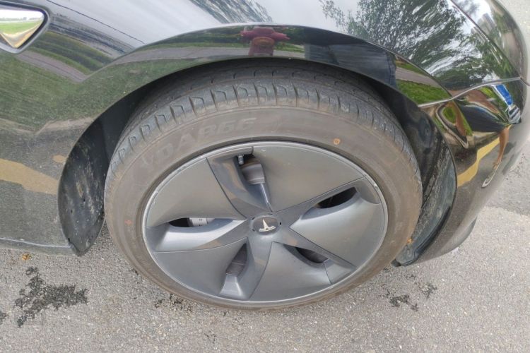 Tesla Model 3 2020 immagine di auto #9
