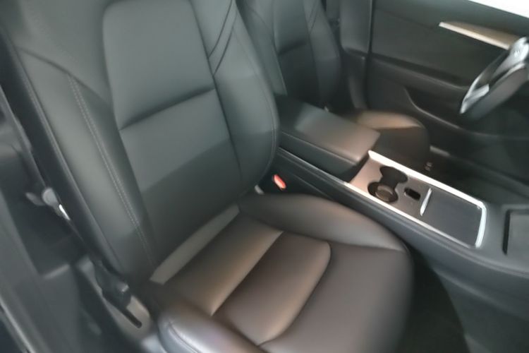 Tesla Model 3 2021 #24 Tesla Model 3 2021 car image #24