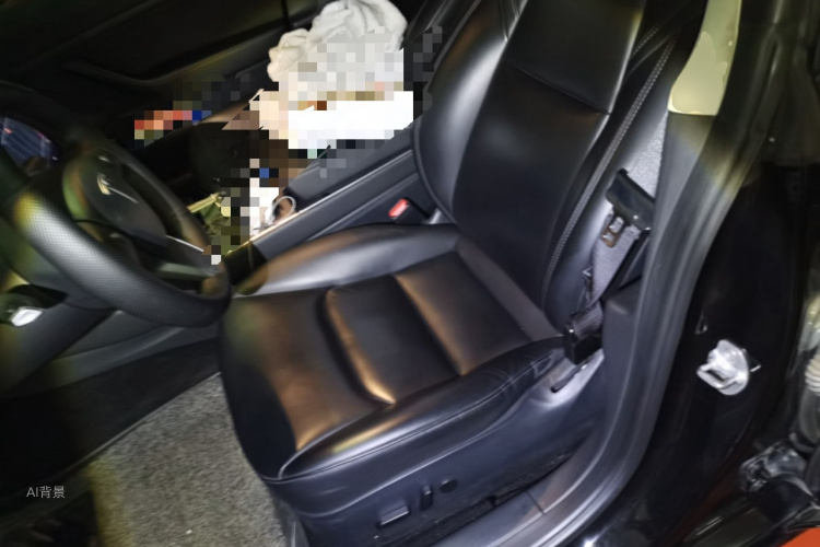 Tesla Model 3 2020 car image #17
