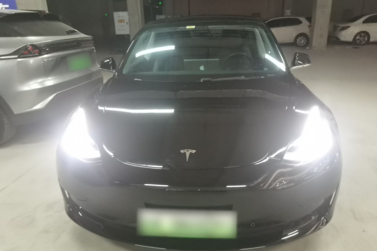 Tesla Model 3 2020 car image #3