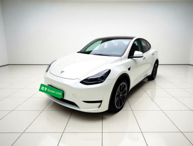 Tesla Model Y 2022 Tesla Model Y 2022 car image