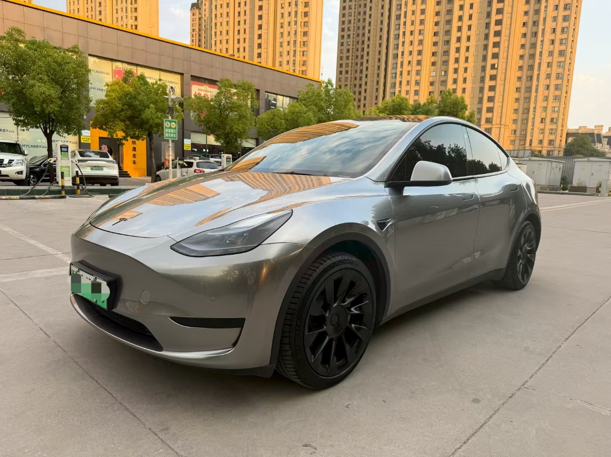 Tesla Model Y 2022 Tesla Model Y 2022 car image