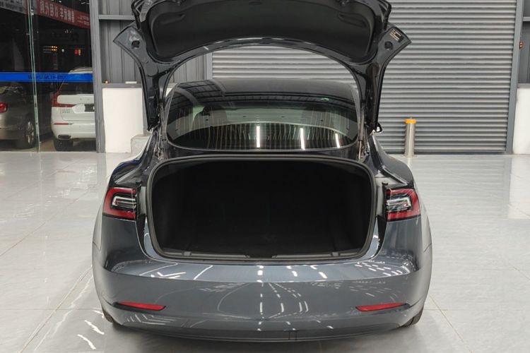 Tesla Model 3 2020 car image #14