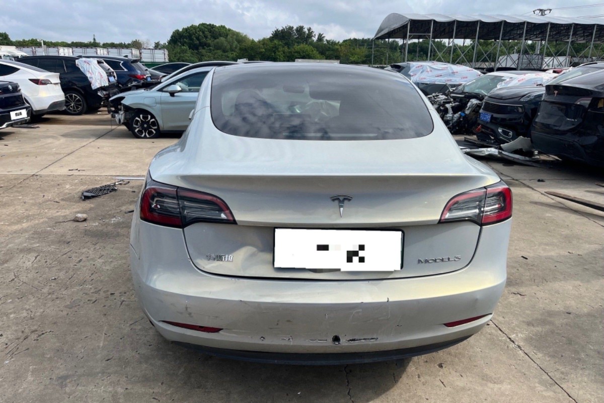Tesla Model 3 2023 #5 Tesla Model 3 2023 car image #5