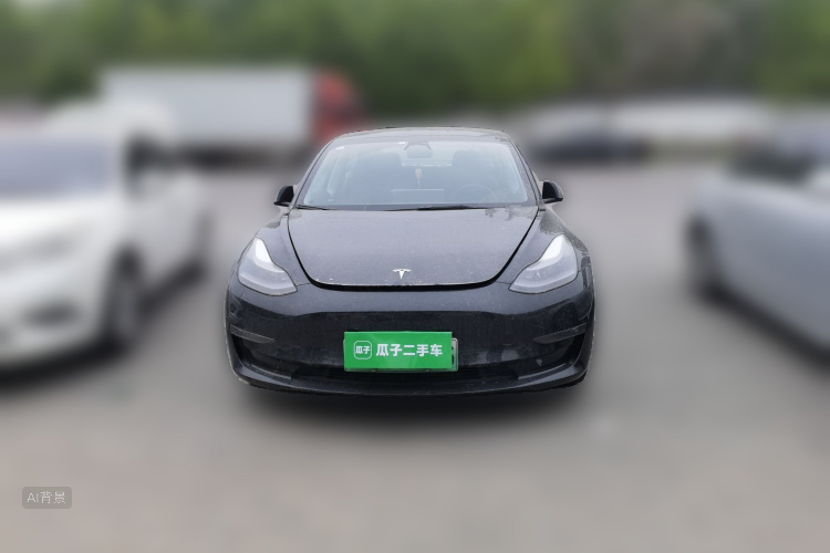 Tesla Model 3 2022 #3 Tesla Model 3 2022 car image #3