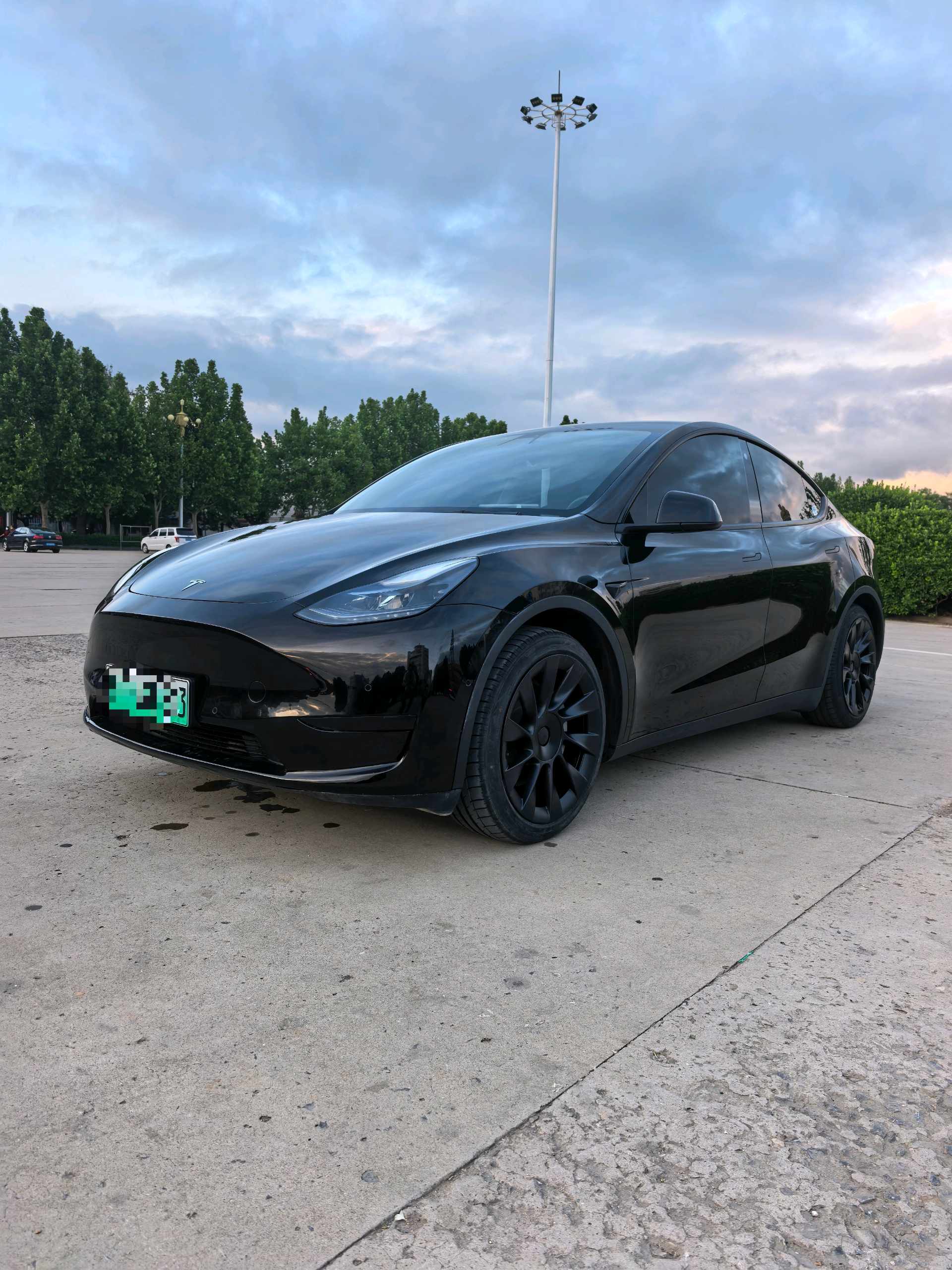 Tesla Model Y 2022 Tesla Model Y 2022 car image