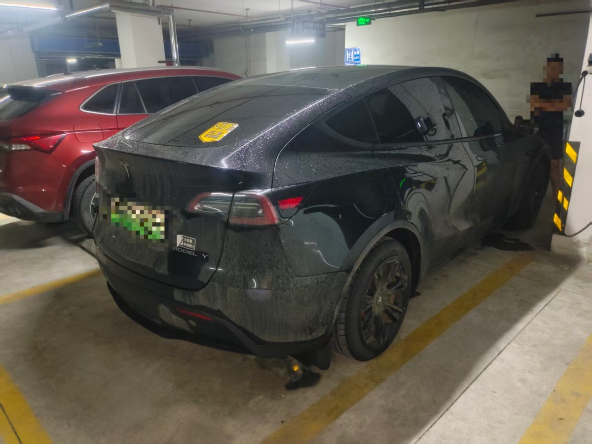 Tesla Model Y 2022 car image #6