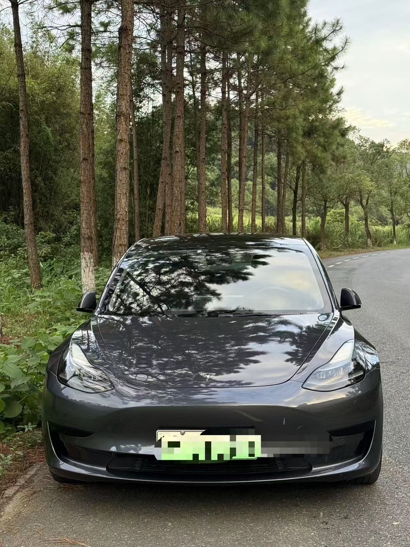 Tesla Model 3 2021 car image #2
