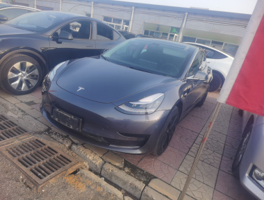 Tesla Model 3 2020 Tesla Model 3 2020 car image
