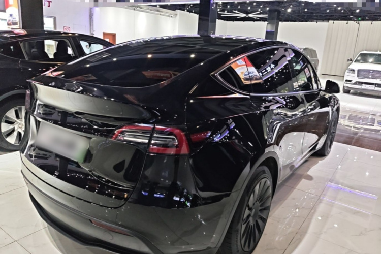 Tesla Model Y 2022 #7 Tesla Model Y 2022 car image #7