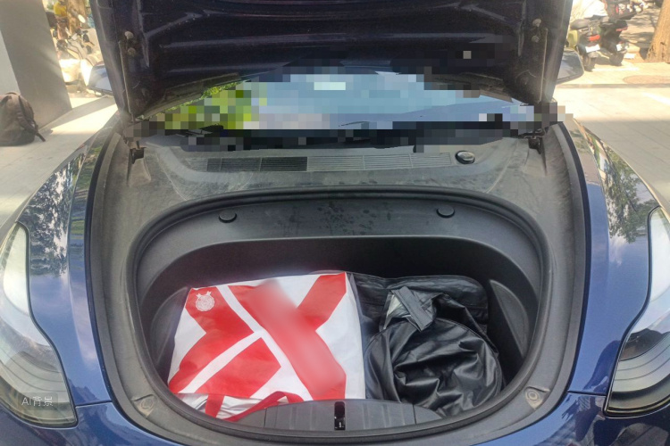 Tesla Model 3 2021 #22 Tesla Model 3 2021 car image #22