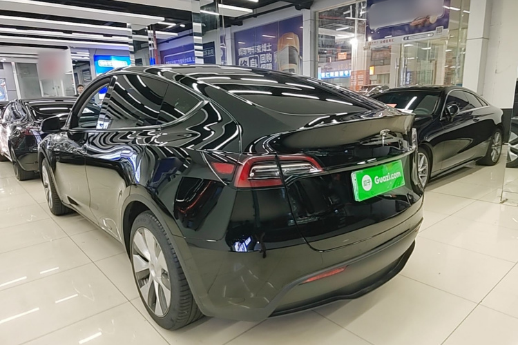 Tesla Model Y 2023 #5 Tesla Model Y 2023 car image #5