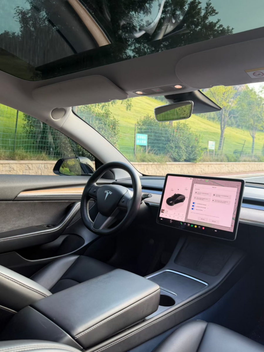 Tesla Model 3 2022 car image #4
