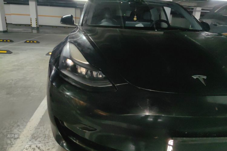 Tesla Model 3 2021 car image #8