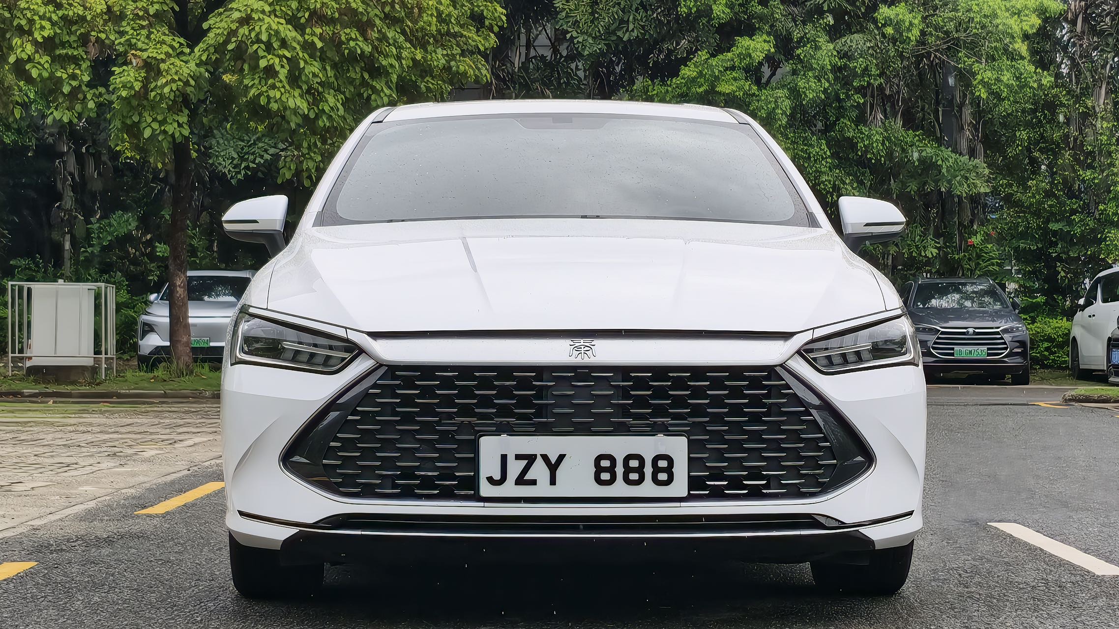 BYD Qin Plus 2021 immagine di auto #2