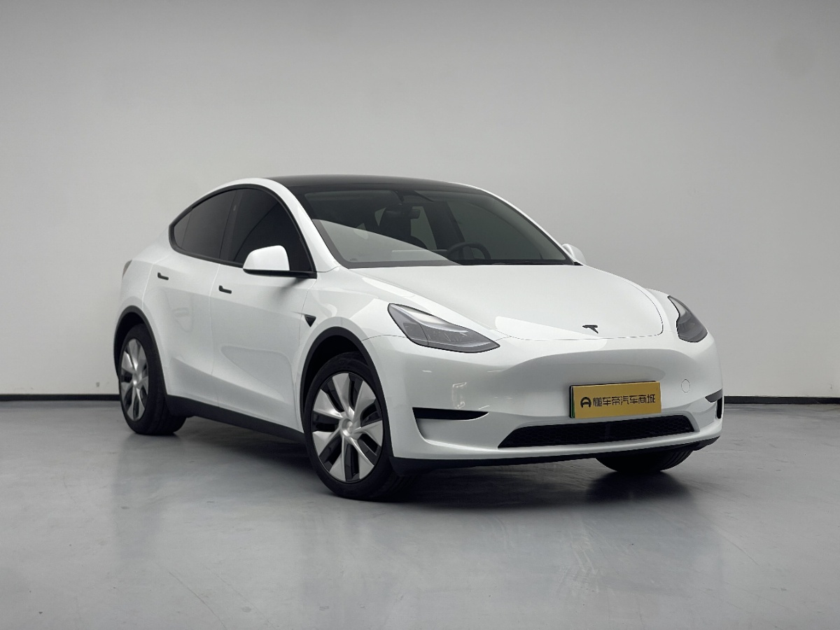 Tesla Model Y 2024 car image #3