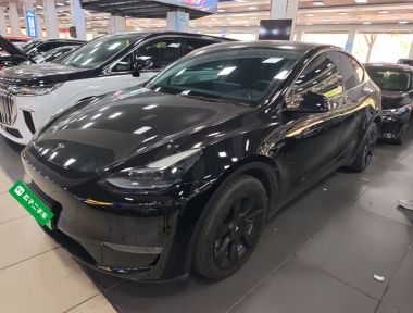 Tesla Model Y 2021 Tesla Model Y 2021 immagine di auto