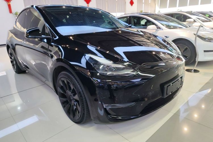 Tesla Model Y 2021 car image #4