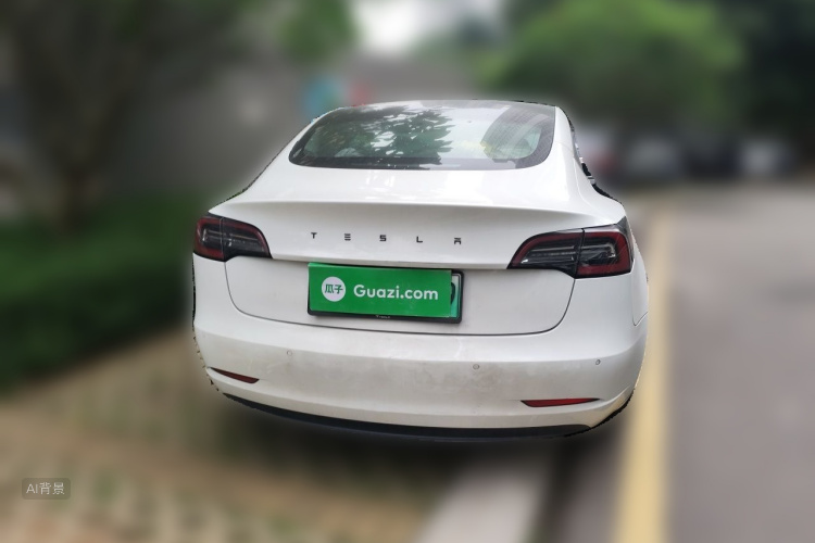 Tesla Model 3 2020 car image #6