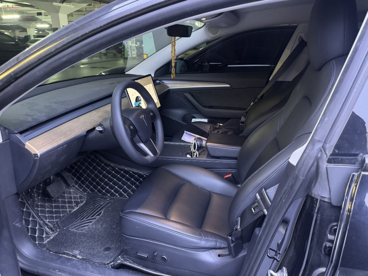 Tesla Model 3 2021 car image #6
