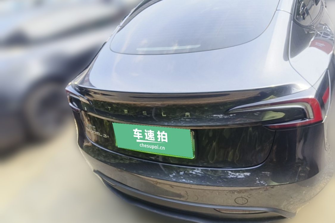Tesla Model 3 2024 #6 Tesla Model 3 2024 car image #6