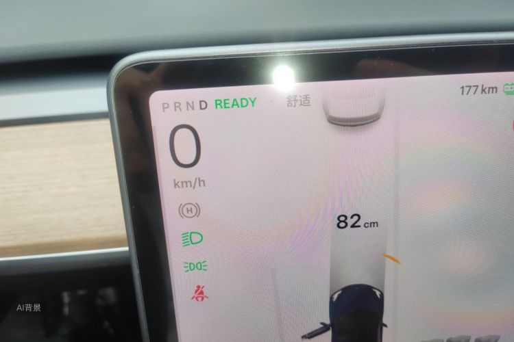 Tesla Model 3 2021 car image #13