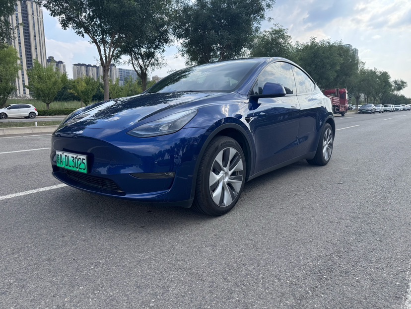 Tesla Model Y 2022 car image 