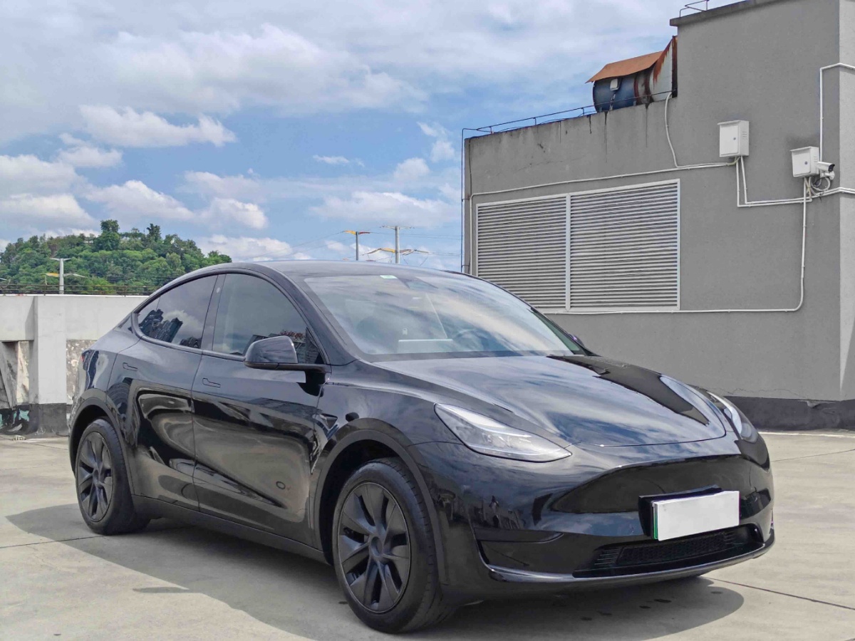 Tesla Model Y 2023 #6 Tesla Model Y 2023 car image #6
