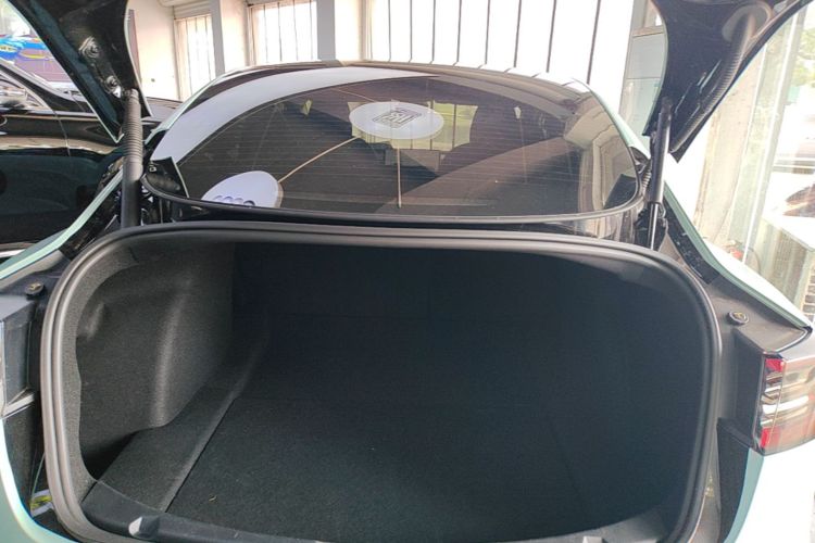 Tesla Model 3 2021 car image #19