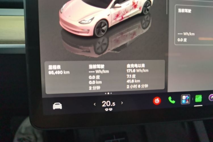 Tesla Model 3 2023 car image #16