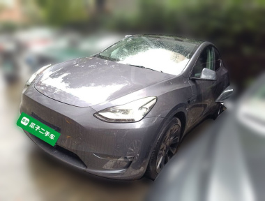Tesla Model Y 2021 Tesla Model Y 2021 car image