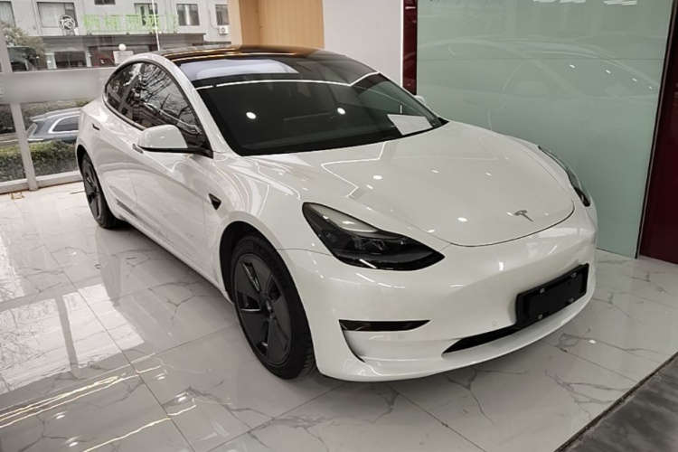 Tesla Model 3 2021 #6 Tesla Model 3 2021 imagem de carro #6