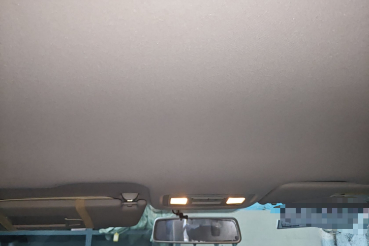 Volkswagen Bora 2019 car image #20