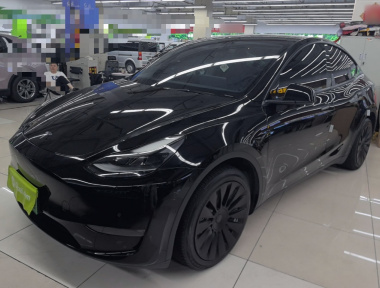Tesla Model Y 2021 Tesla Model Y 2021 car image