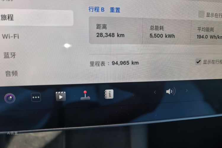 Tesla Model 3 2021 car image #14