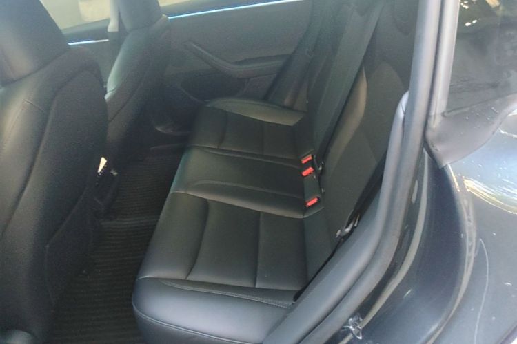 Tesla Model 3 2024 car image #17