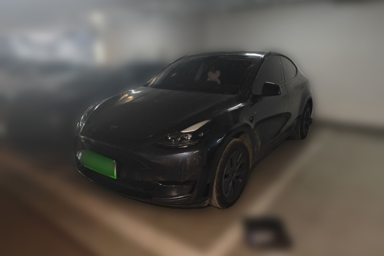 Tesla Model Y 2024 #2 Tesla Model Y 2024 car image #2