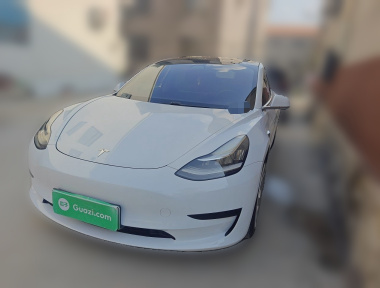 Tesla Model 3 2020 Tesla Model 3 2020 car image