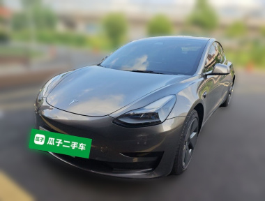 Tesla Model 3 2021 Tesla Model 3 2021 car image