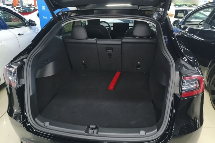 Tesla Model Y 2021 #19 Tesla Model Y 2021 car image #19