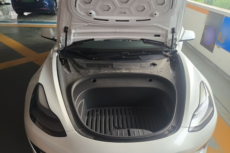 Tesla Model 3 2021 car image #20