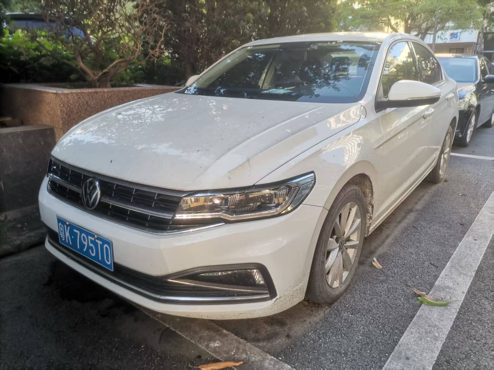 Volkswagen Bora 2021 Volkswagen Bora 2021 car image