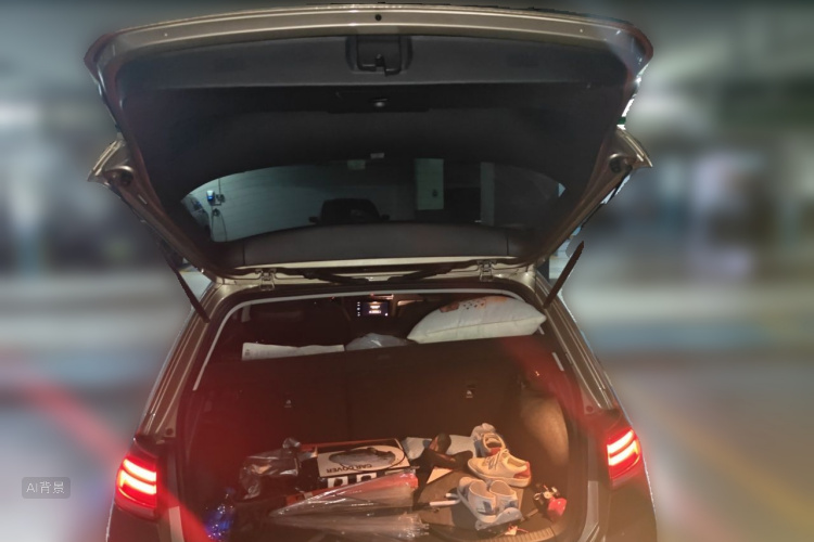 Volkswagen Golf 2019 car image #21