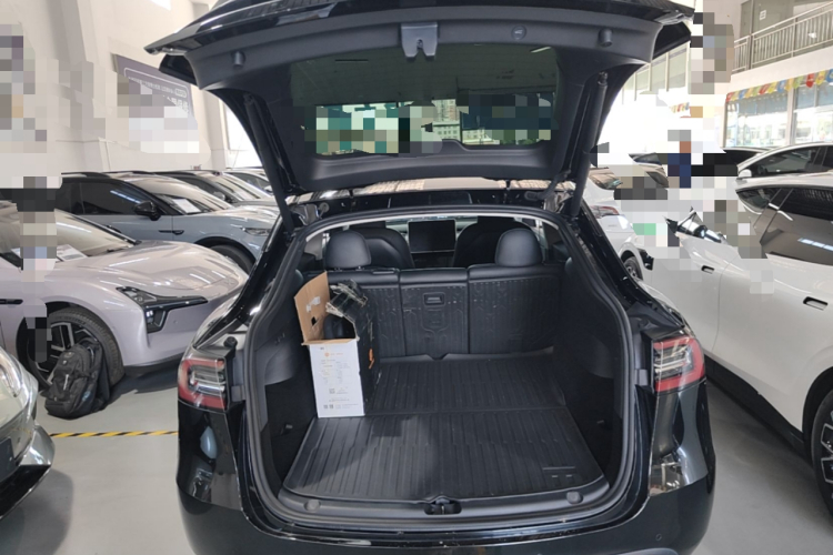 Tesla Model Y 2023 car image #19