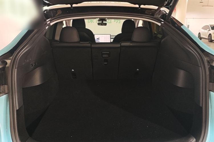 Tesla Model Y 2021 car image #19