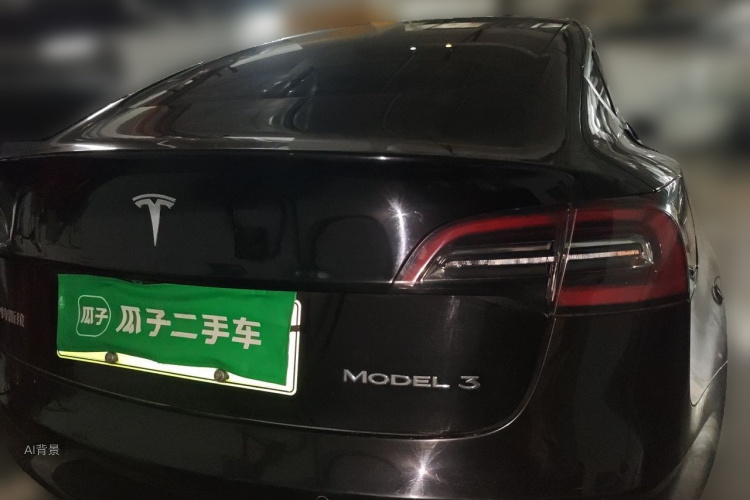 Tesla Model 3 2020 car image #6