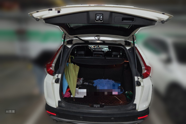 Honda CR-V 2019 car image #21