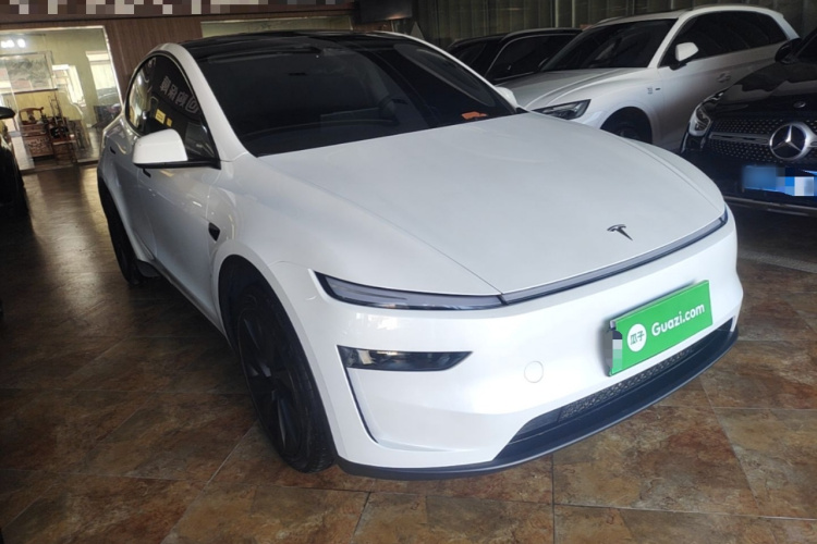 Tesla Model Y 2025 car image #4